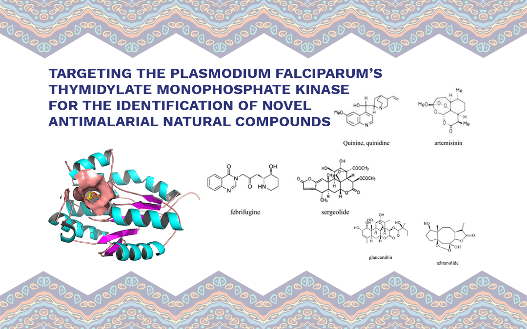 Targeting the Plasmodium falciparum’s Thymidylate Monophosphate Kinase for the Identification of Novel Antimalarial Natural Compounds