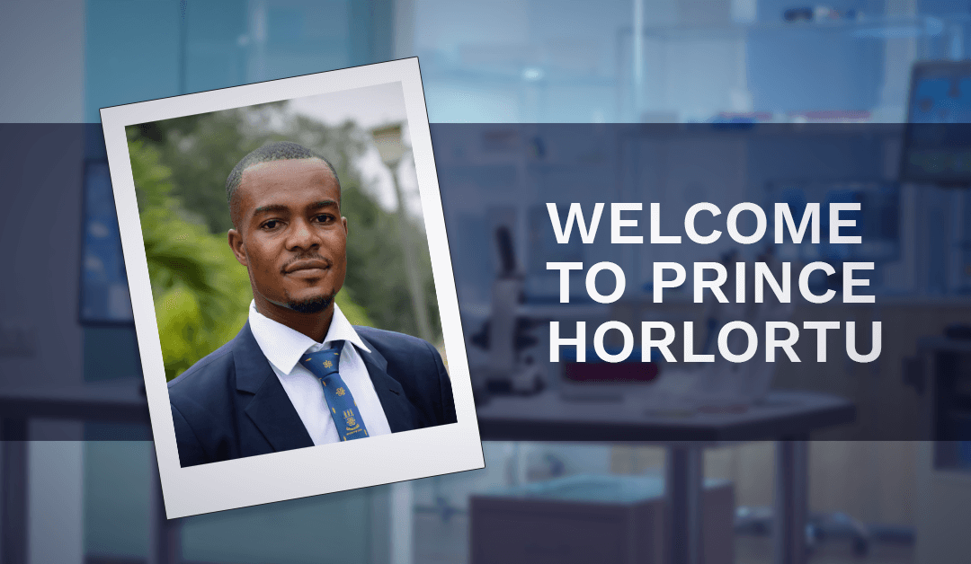 Welcome to Prince Horlortu