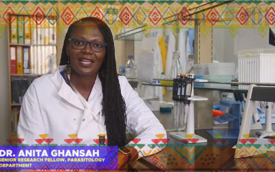 Anita Ghansah Lab Presentation – Malaria Surveillance