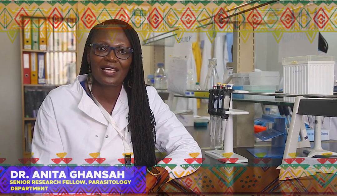 Anita Ghansah Lab Presentation – Malaria Surveillance