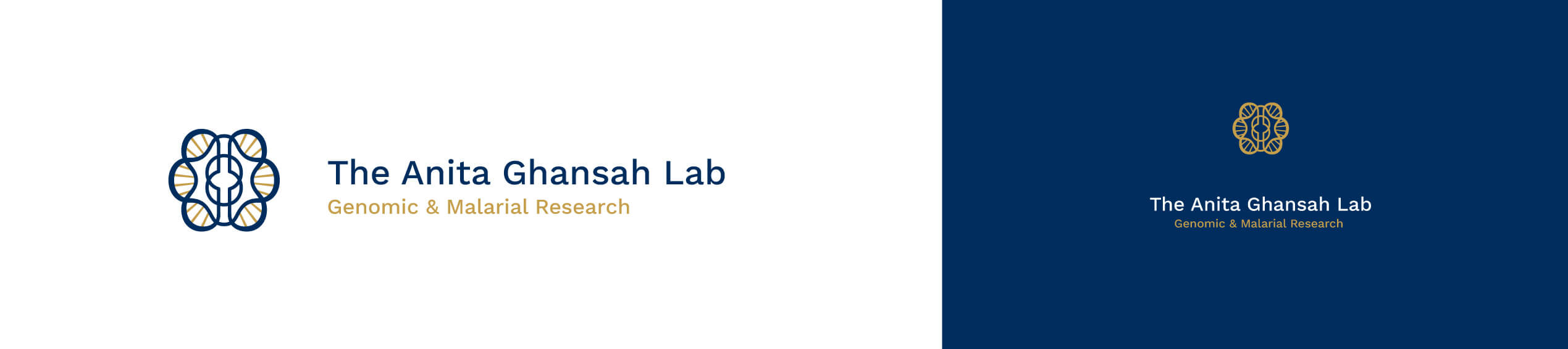 Anita Ghansah Lab official logo in white and in blue. large width image shown in three colors. 
